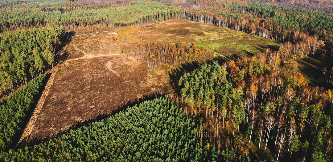 Vilnius to Merkine lookout