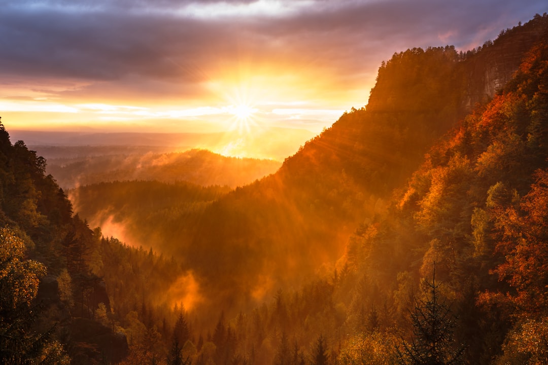 Hrensko to Elbe canyon