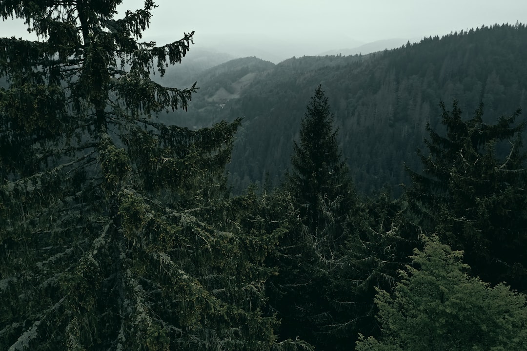 Freiburg